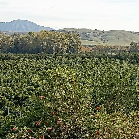 Los Dos Cedros San Pablo Exterior foto